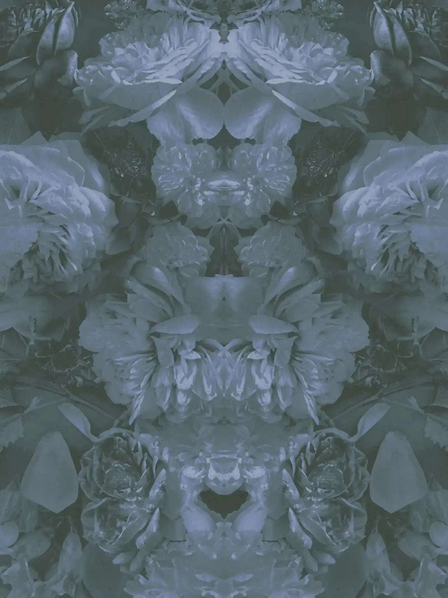 Floral Ash Poster Art-Digital Artwork-Visual Bounty