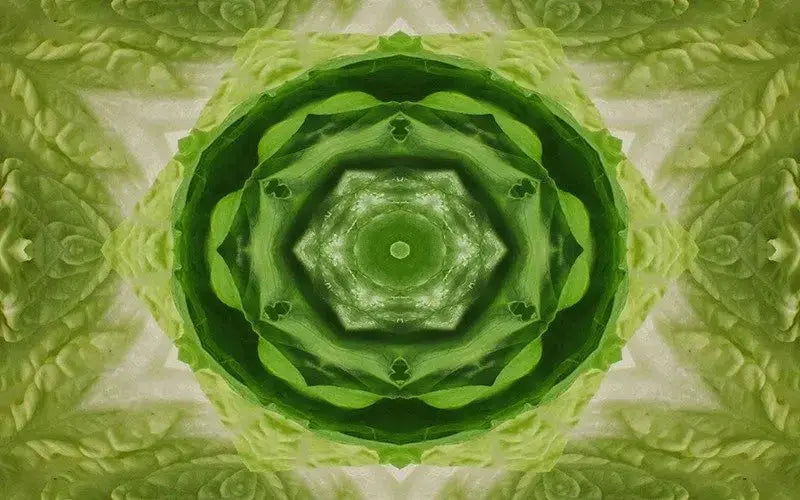 Leafy Greens Kaleido-Digital Artwork-Visual Bounty