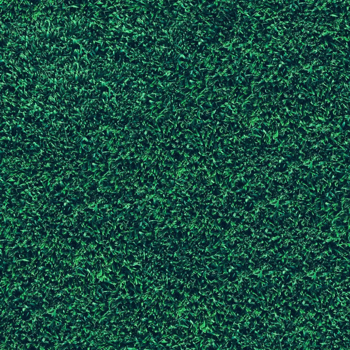 Grass II-Surface Design Shop