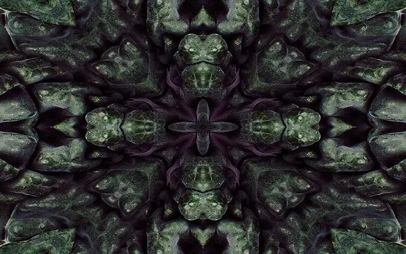 Kaleido Kale-Digital Artwork-Visual Bounty