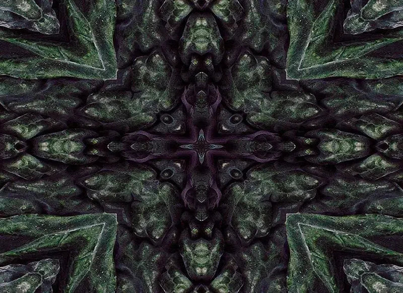 Kaleido Kale-Digital Artwork-Visual Bounty