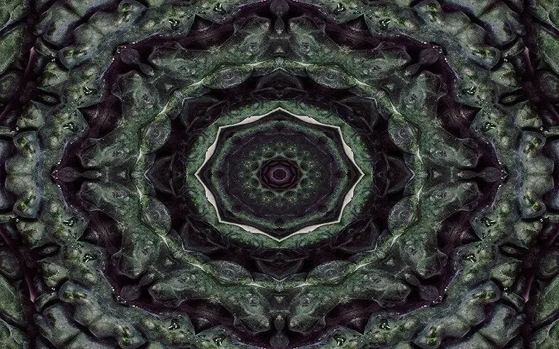 Kaleido Kale-Digital Artwork-Visual Bounty