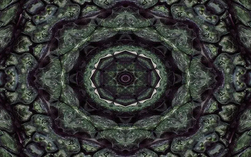 Kaleido Kale-Digital Artwork-Visual Bounty