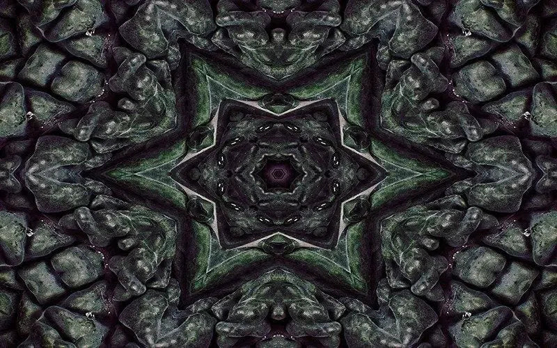 Kaleido Kale-Digital Artwork-Visual Bounty