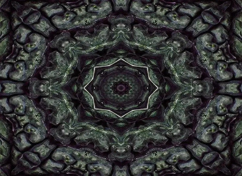 Kaleido Kale-Digital Artwork-Visual Bounty