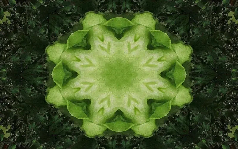 Leafy Greens Kaleido-Digital Artwork-Visual Bounty