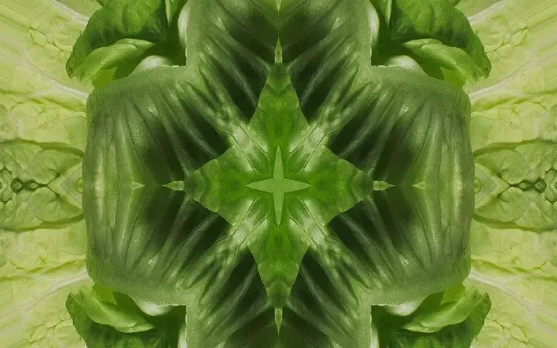 Leafy Greens Kaleido-Digital Artwork-Visual Bounty