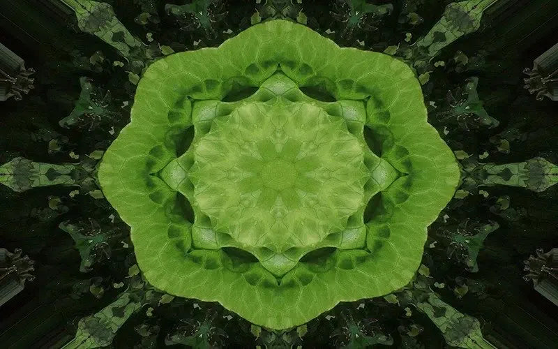 Leafy Greens Kaleido-Digital Artwork-Visual Bounty