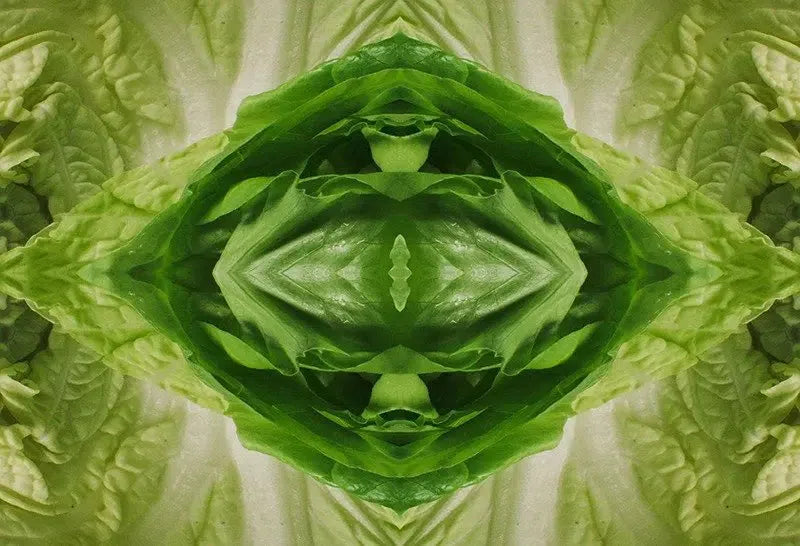 Leafy Greens Kaleido-Digital Artwork-Visual Bounty