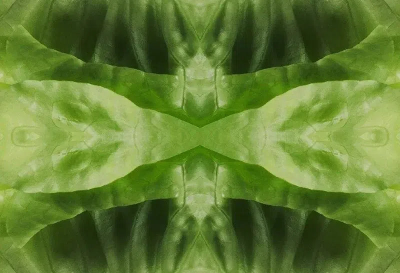 Leafy Greens Kaleido-Digital Artwork-Visual Bounty