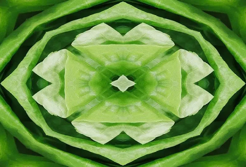 Leafy Greens Kaleido-Digital Artwork-Visual Bounty