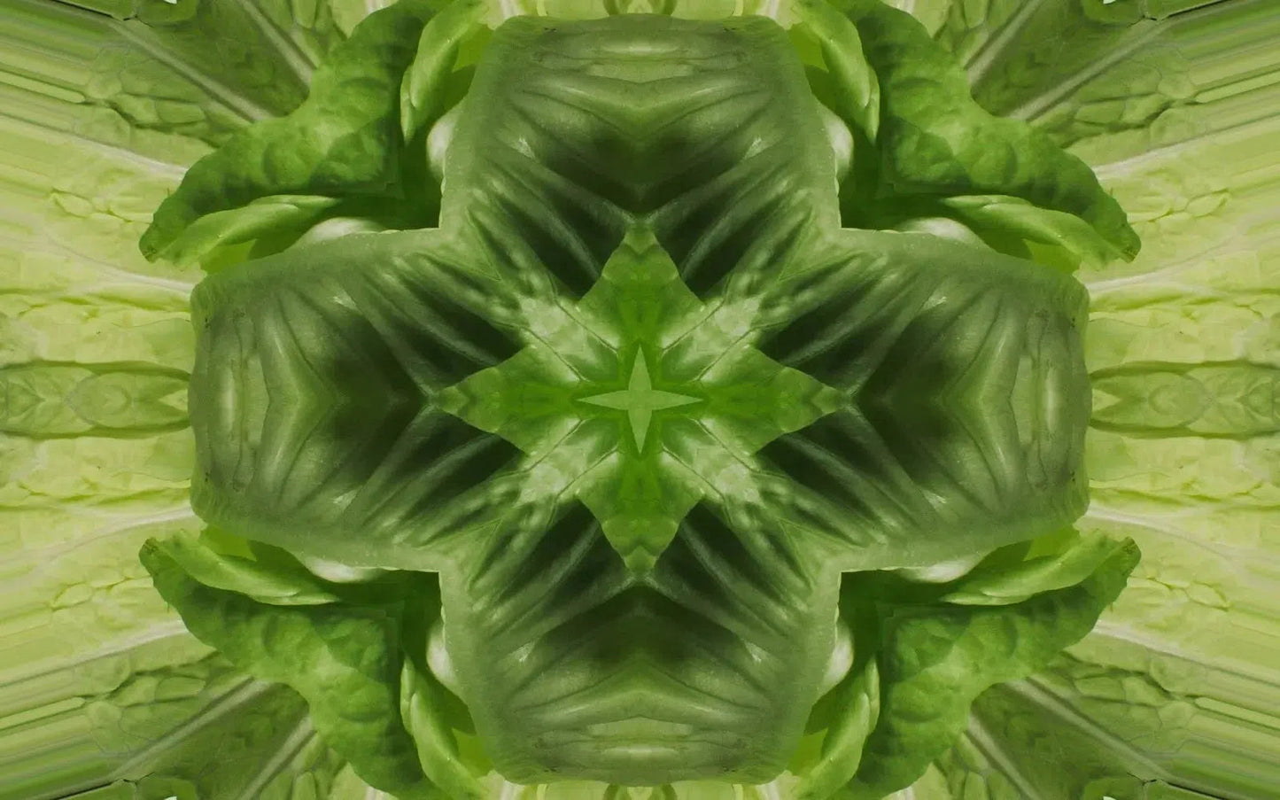 Leafy Greens Kaleido-Digital Artwork-Visual Bounty