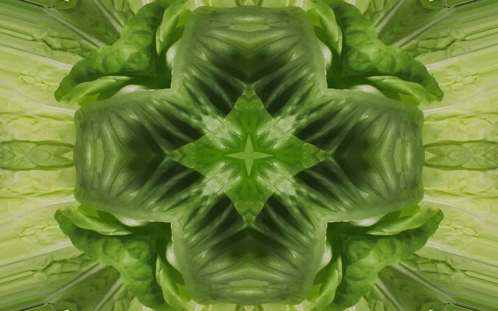 Leafy Greens Kaleido-Digital Artwork-Visual Bounty