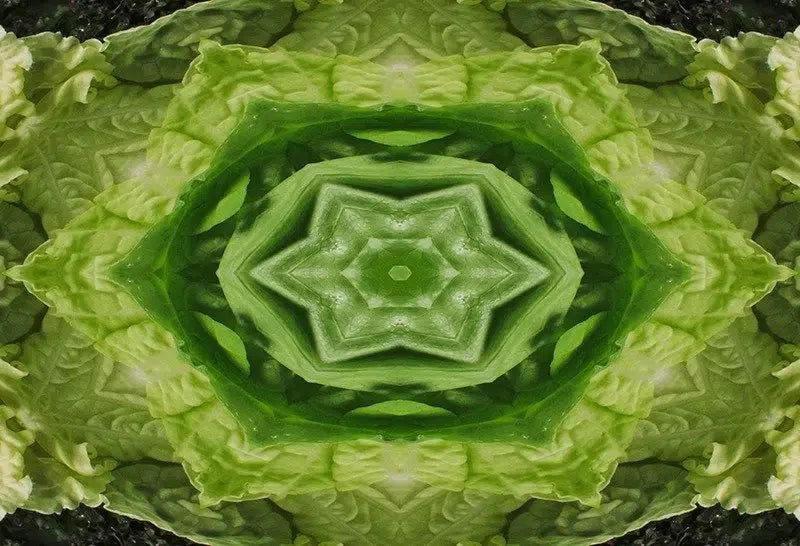 Leafy Greens Kaleido-Digital Artwork-Visual Bounty