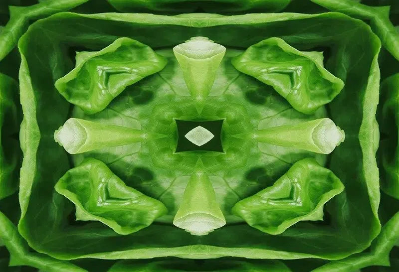 Leafy Greens Kaleido-Digital Artwork-Visual Bounty