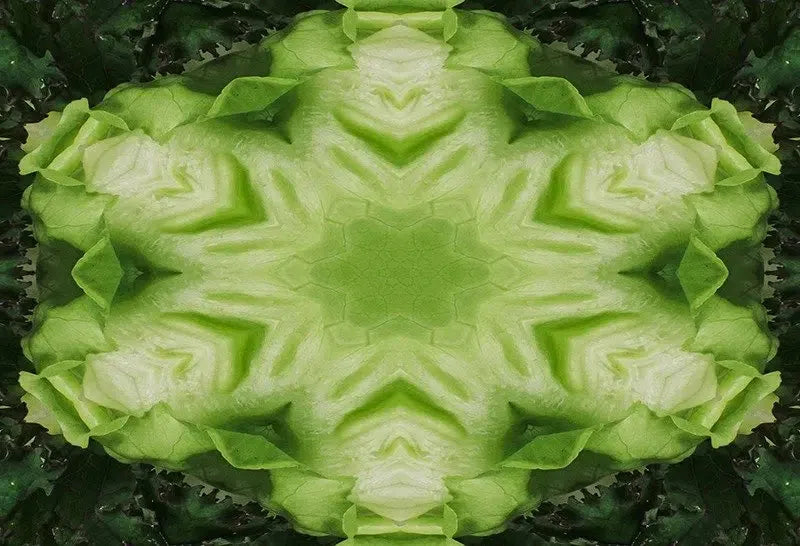 Leafy Greens Kaleido-Digital Artwork-Visual Bounty