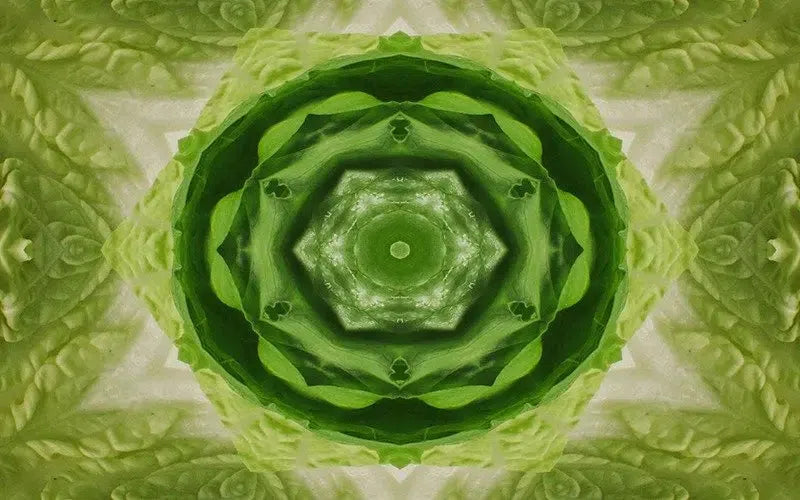 Leafy Greens Kaleido-Digital Artwork-Visual Bounty