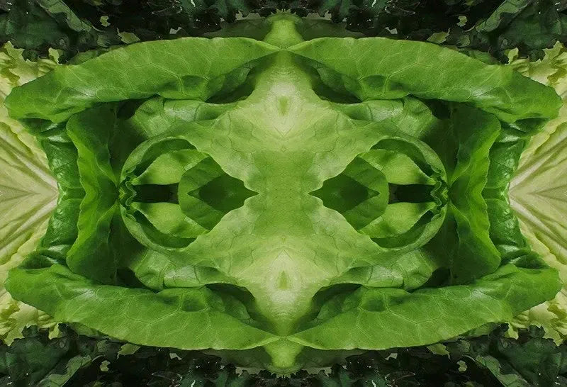 Leafy Greens Kaleido-Digital Artwork-Visual Bounty