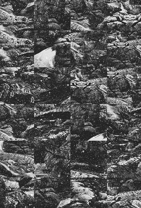 Monochrome Terrain Grid-Digital Artwork-Visual Bounty