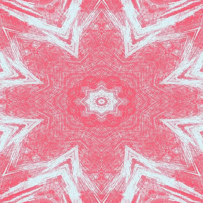 Pink Kaleido-Digital Artwork-Visual Bounty