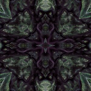 abstract kaleidoscopic kale