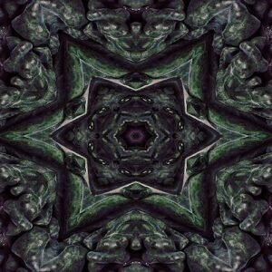 abstract kaleidoscopic kale