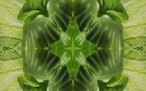 leafy greens kaleido