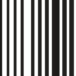 black and white stripe