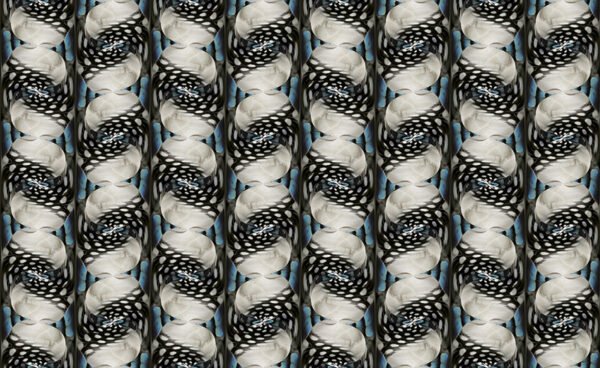 of feathers digital pattern print bird stock art image
